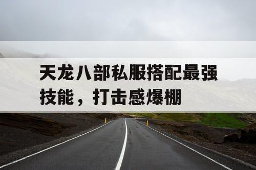 天龙八部私服搭配最强技能，打击感爆棚