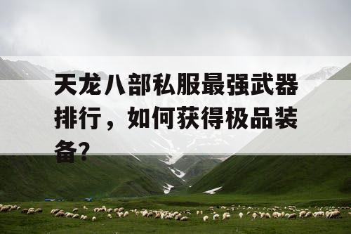 天龙八部私服最强武器排行，如何获得极品装备？