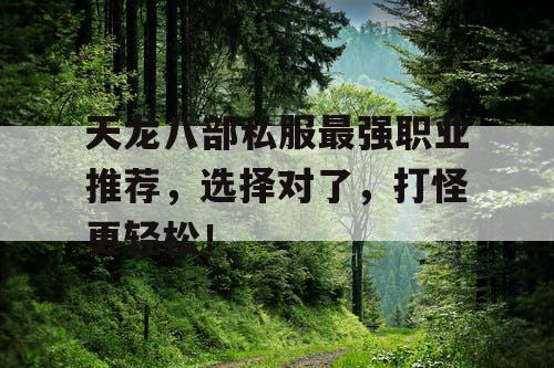 天龙八部私服最强职业推荐,选择对了,打怪更轻松! 天龙八部私服最强职业推荐,选择对了,打怪更轻松!