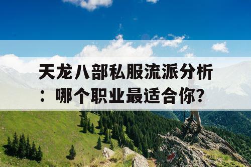 天龙八部私服流派分析:哪个职业最适合你? 天龙八部私服流派分析:哪个职业最适合你?