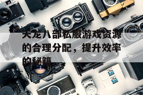 天龙八部私服游戏资源的合理分配，提升效率的秘籍