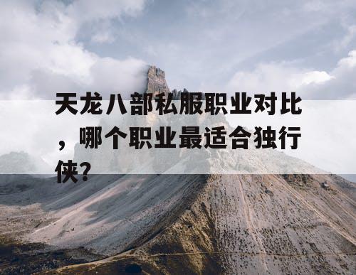 天龙八部私服职业对比，哪个职业最适合独行侠？