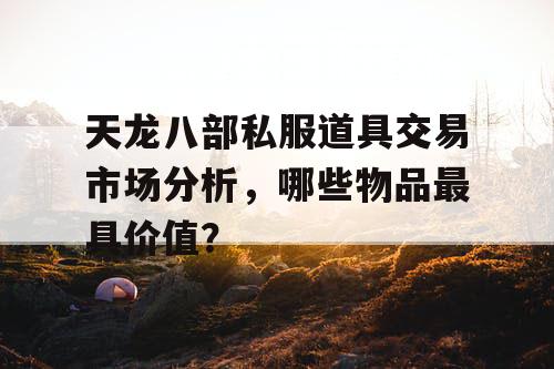 天龙八部私服道具交易市场分析，哪些物品最具价值？