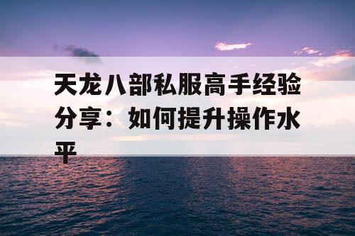 天龙八部私服高手经验分享:如何提升操作水平 天龙八部私服高手经验分享:如何提升操作水平