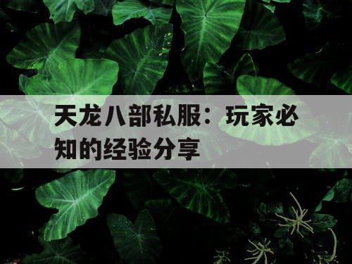 天龙八部私服:玩家必知的经验分享 天龙八部私服:玩家必知的经验分享