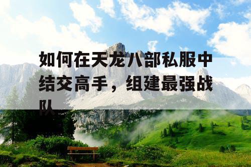 如何在天龙八部私服中结交高手,组建最强战队 如何在天龙八部私服中结交高手,组建最强战队