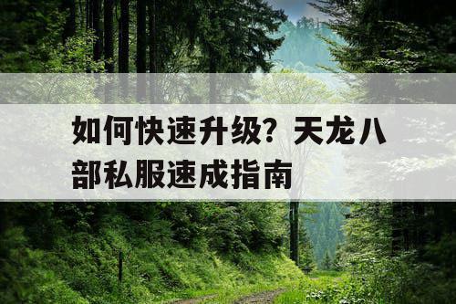 如何快速升级?天龙八部私服速成指南 如何快速升级?天龙八部私服速成指南