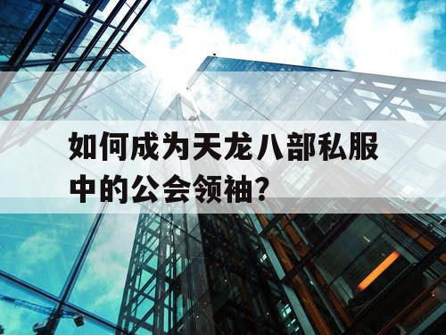 如何成为天龙八部私服中的公会领袖？