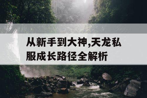 从新手到大神,天龙私服成长路径全解析