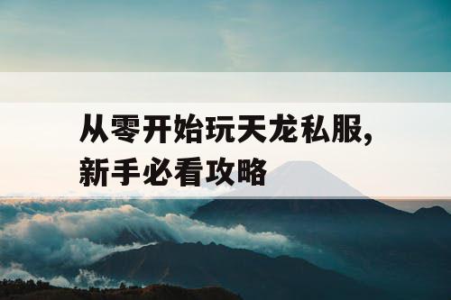 从零开始玩天龙私服,新手必看攻略