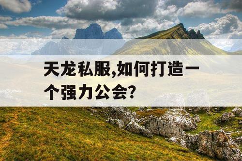 天龙私服,如何打造一个强力公会？