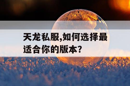 天龙私服,如何选择最适合你的版本？