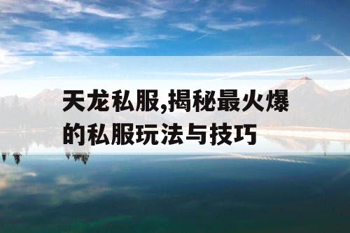 天龙私服,揭秘最火爆的私服玩法与技巧