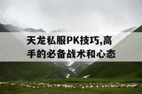 天龙私服PK技巧,高手的必备战术和心态