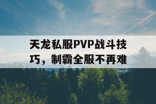 天龙私服PVP战斗技巧，制霸全服不再难