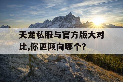 天龙私服与官方版大对比,你更倾向哪个？