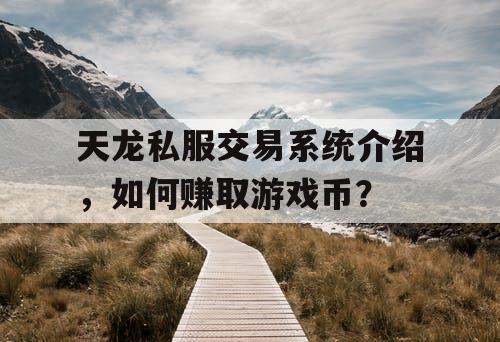 天龙私服交易系统介绍，如何赚取游戏币？