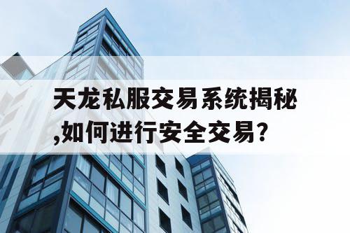 天龙私服交易系统揭秘,如何进行安全交易？