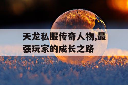 天龙私服传奇人物,最强玩家的成长之路