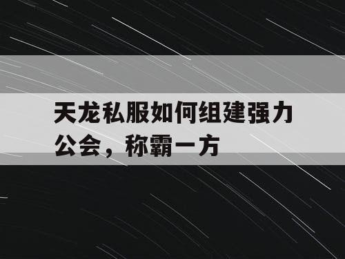 天龙私服如何组建强力公会，称霸一方