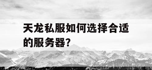 天龙私服如何选择合适的服务器？