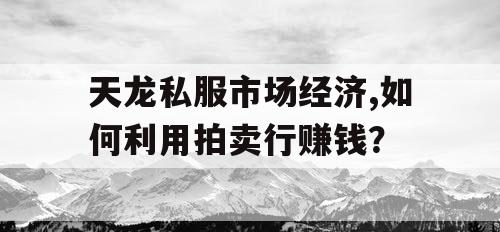 天龙私服市场经济,如何利用拍卖行赚钱？