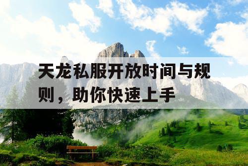 天龙私服开放时间与规则，助你快速上手