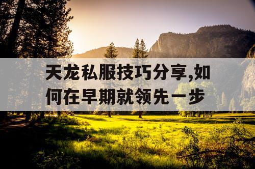 天龙私服技巧分享,如何在早期就领先一步