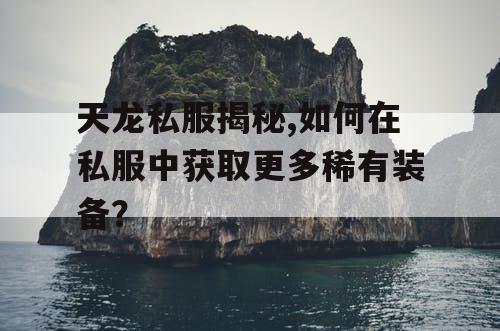 天龙私服揭秘,如何在私服中获取更多稀有装备？
