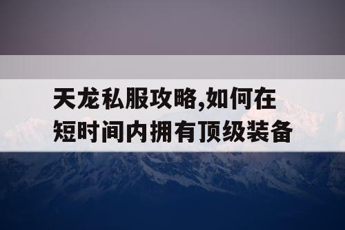 天龙私服攻略,如何在短时间内拥有顶级装备