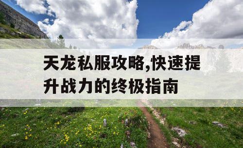 天龙私服攻略,快速提升战力的终极指南
