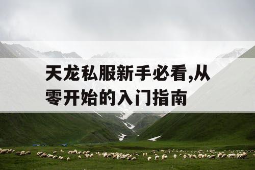 天龙私服新手必看,从零开始的入门指南