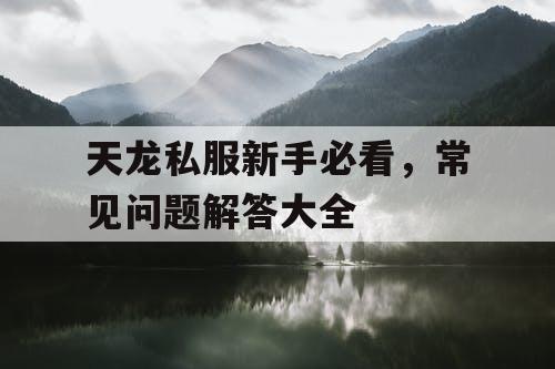 天龙私服新手必看，常见问题解答大全