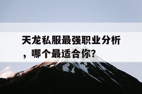 天龙私服最强职业分析，哪个最适合你？