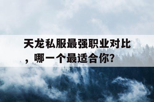 天龙私服最强职业对比，哪一个最适合你？