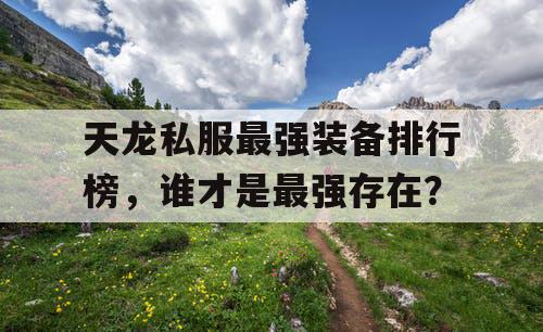 天龙私服最强装备排行榜，谁才是最强存在？