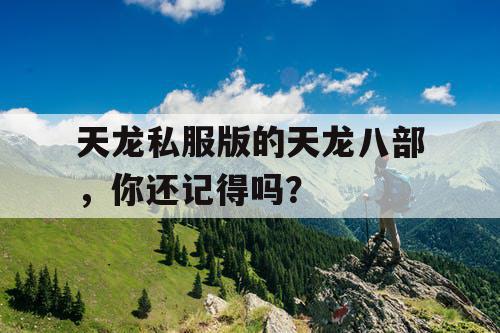 天龙私服版的天龙八部，你还记得吗？