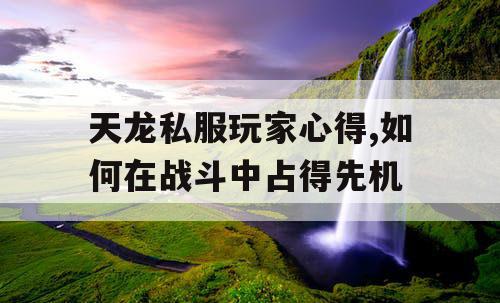 天龙私服玩家心得,如何在战斗中占得先机