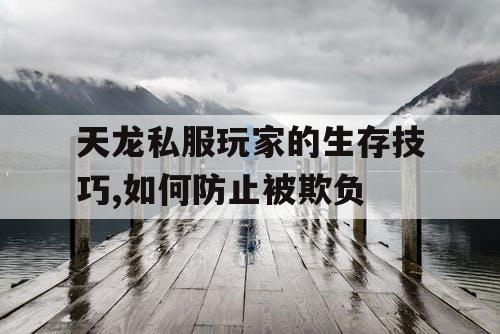 天龙私服玩家的生存技巧,如何防止被欺负