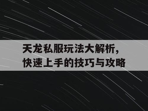 天龙私服玩法大解析,快速上手的技巧与攻略