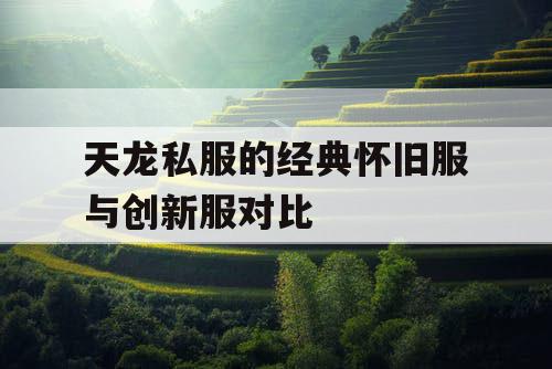 天龙私服的经典怀旧服与创新服对比