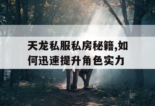 天龙私服私房秘籍,如何迅速提升角色实力