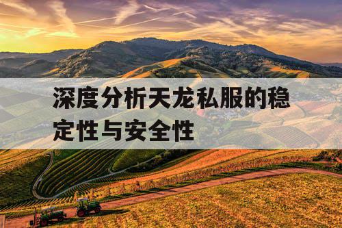 深度分析天龙私服的稳定性与安全性