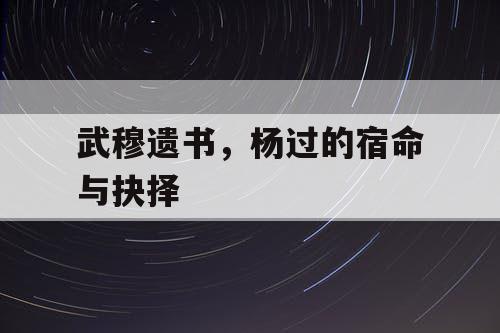 武穆遗书，杨过的宿命与抉择