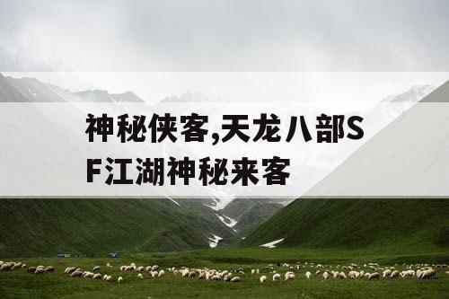 神秘侠客,天龙八部SF江湖神秘来客