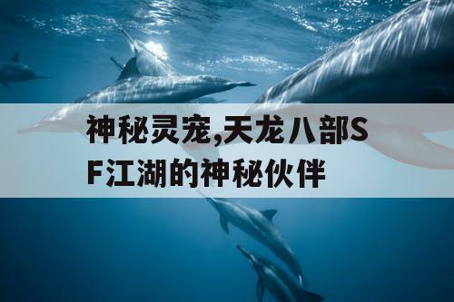 神秘灵宠,天龙八部SF江湖的神秘伙伴