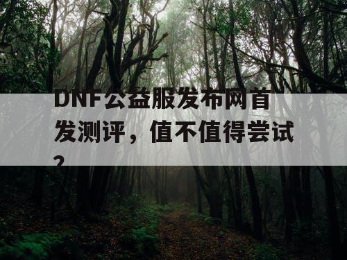 DNF公益服发布网首发测评，值不值得尝试？