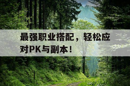 最强职业搭配，轻松应对PK与副本！