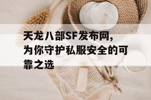 天龙八部SF发布网,为你守护私服安全的可靠之选