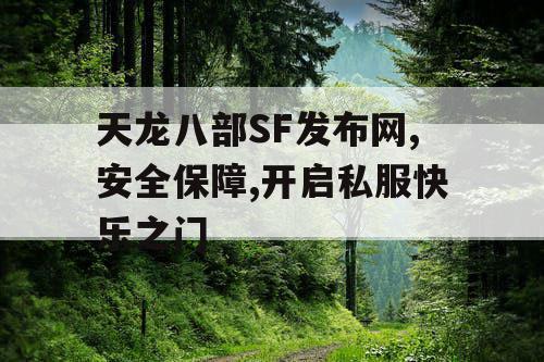 天龙八部SF发布网,安全保障,开启私服快乐之门